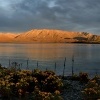 NZ Tekapo lake 0999_panorama